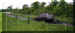 ns15.jpg (20418 bytes)